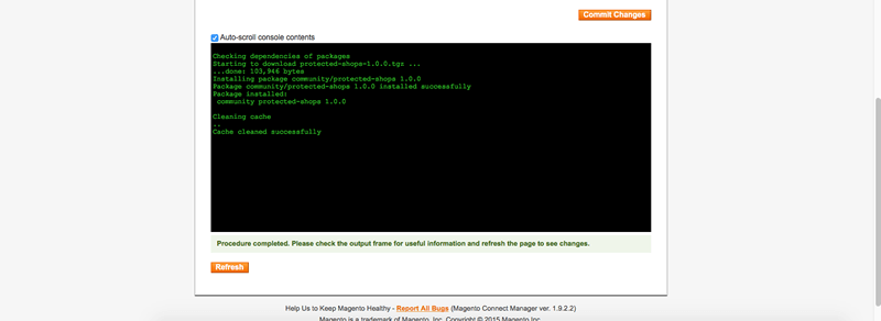 09_magento_terminal